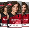 Brillance Intensive Colour Cream 877 Ash Light Brown (3 x