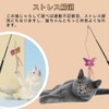 Samcos Cat Toy, Popular Cat Toy, Cat Toy, Telescopic Fishing