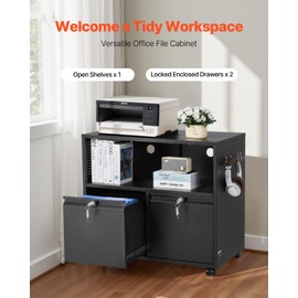 VEVOR 2 Drawers Metal File Cabinet, Lateral Filing Cabinet with Lock and Adjustable Hanging Rods, Wide Filing Storage Cabinets for Home and Office Fit Letter, A4, Legal Size File, Easy Assembly, Black