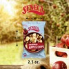 Seneca Original Apple Chips | Made from Fresh 100% Red