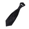 DQT New Men's Paisley Black Cravat