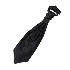DQT New Men's Paisley Black Cravat