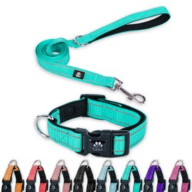 FURRYFECTION Reflective Dog Collar and Leash Set with Quick Release Buckle, Padded with Neoprene Adjustable Nylon Dog Collar for Small Medium and Large Dogs (Medium Collar+5FT Leash, Teal)