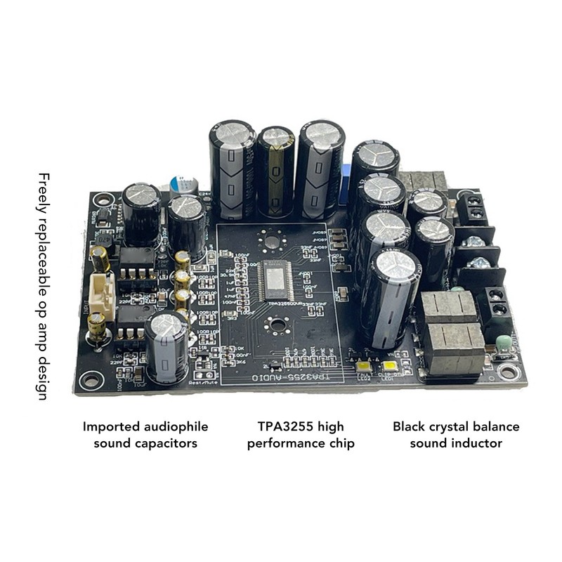 HIFI Digital Power Amplifier Board Professional 2.0 Channel Class D