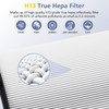 360° Combi Glass H13 Hepa + Activated Carbon Filter Compatible
