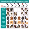 Hartz Hartz Groomer's Best Flea Comb for Dogs and Cats,