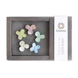 Cohana - Flower Push Pins of Oyster Shell - 5 Pieces
