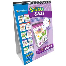 NewPath Learning Cells Laminated, Double-Sided “Write-On/Wipe-Off” Flip Chart - Set of 10, 12" x 18" Charts (34-6721)