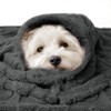 Luciphia Small Dog Blanket Washable Pet Bed Cover Soft Fluffy