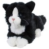Leosco Cuddly Toy Cat Kitten Cat Boots 22 cm (30