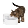 PetSafe Outlast Cat Fountain - Encourages Healthy Hydration - Pump-Free