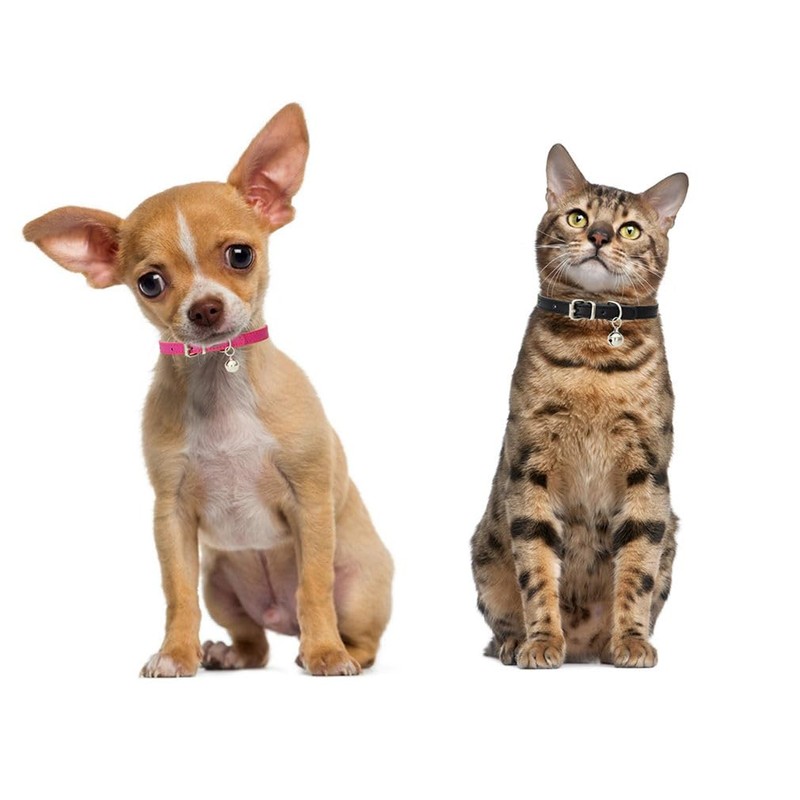Small Dog Collar with Bell, Synthetic Leather Pu Basic Cat