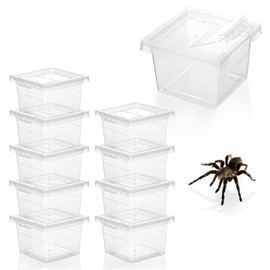 10Pcs Plastic Critter Keeper,Transparent Cricket Keeper for Reptiles,Mini Reptile Feeding Box Kids Bug Catching Kit Suitable for Crickets Scorpions Frogs Centipedes Lizards PP Breeding Box