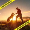 Saint Nutrition® Canine Booster for Dogs - Joint Strength &
