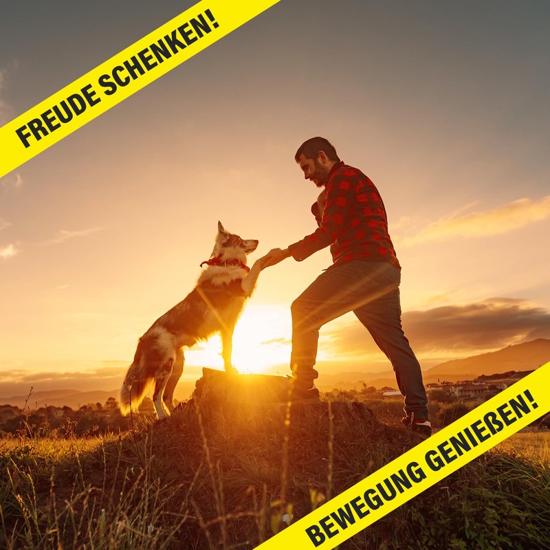 Saint Nutrition® Canine Booster for Dogs - Joint Strength &