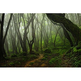 Reptile Habitat, Terrarium Background, Creepy Mossy Forest, 14" x 24"