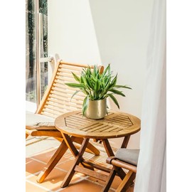 Serene Spaces Living - Macetas martilladas doradas con aspecto de latón antiguo, maceta de interior, acento decorativo para plantas en maceta, jarrón dorado para centro de mesa de bodas o eventos
