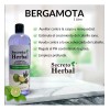 Caja 6pz Surtida Shampoo Secreto Herbal Romero Chile Bergamota