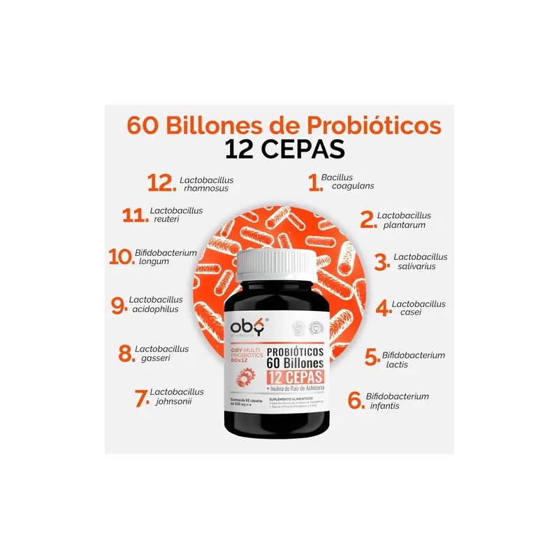 Probioticos Avanzados 60 Billones 12 Cepas + Prebioticos | Digestion