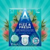 Astonish Foaming Eucalyptus Fresh Fizz & Fresh Bathroom Toilet Bowl