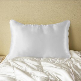 PROMEED 23 Momme Silk Pillowcase with Hyaluronic Acid(HA), Hydrating Silk Pillow Case for Hair and Skin, Both Sides 100% Grade 6A+ Mulberry Silk (White, Queen-20 x30)