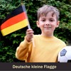ElevaPulse Pack of 20 Small Germany Flags for European Championship