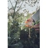 Fiskars 1000555 Tijeras de jardín 18, 18cm, Standard