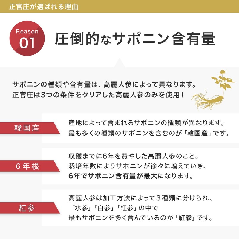 正官庄 (ジョンガンジャン) 紅参抽出液【お試し】紅参(ホンサム) 6年根 高麗人参 濃縮エキス ドリンク パウチ (50ml×10包) 国内正規品