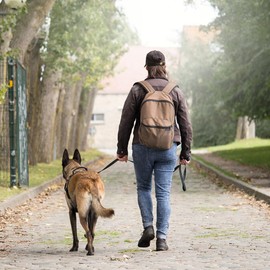 LynxKing Heavy Duty 6ft Reflective Safety Walking Lead for Small to Large Dogs - Double Handle Padded Leash
