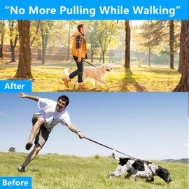 Dog ProngTraining Collar Choke Pinch Collar for Dogs with Comfort No Pull Dog Collar Rubber Tips and Quick Release Snap for Small Medium Large Dogs