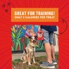 Stella & Chewy's Training Dog Treats - Crav'n Bac'n Soft