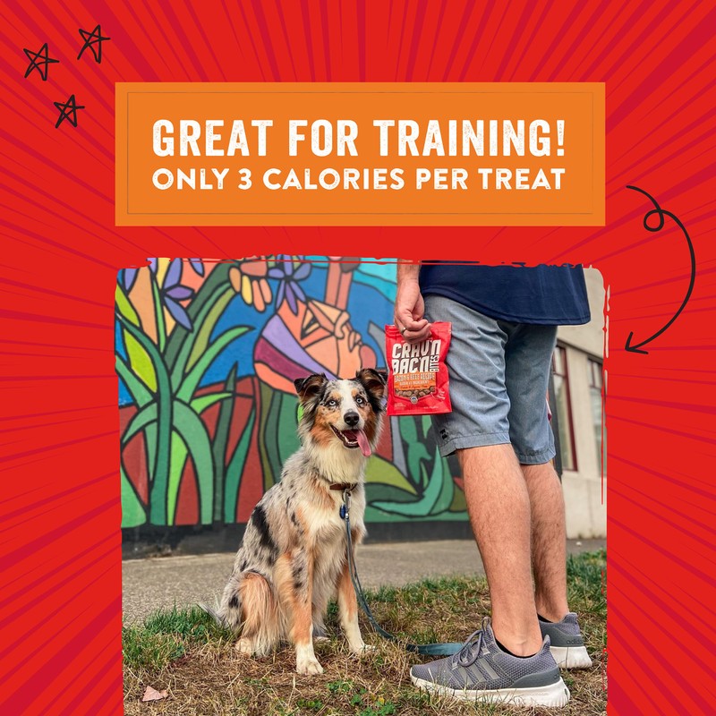 Stella & Chewy's Training Dog Treats - Crav'n Bac'n Soft