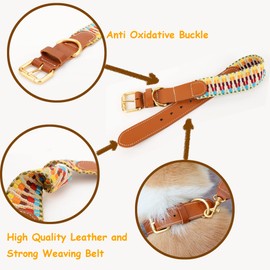 Mino Dog Collar Real Leather & Weaving Belt Combined with Anti Oxidative Buckle 3 Sizes Cover The Range of Application from 9 to 18 Inches (Harris, Medium), CG81029