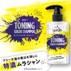 Got2b Toning Color Shampoo 10.1 fl oz (300 ml)