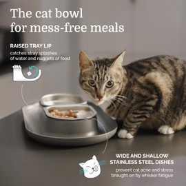 Hepper NomNom - Spill Proof Elevated Cat Bowls for Food and Water - Whisker Relief Cat Bowl + Raised Cat Food Bowls: a Safe Cat Dish for Messy Cats - Stainless Steel Cat Bowl Station