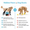 Walkee Paws Easy-On Stay-On Dog Boot Leggings, Seen on Shark