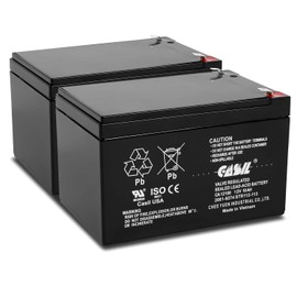 Casil 12v 10ah Battery Compatible with 2081-9274 Simplex Fire Panel Battery 2 Pack