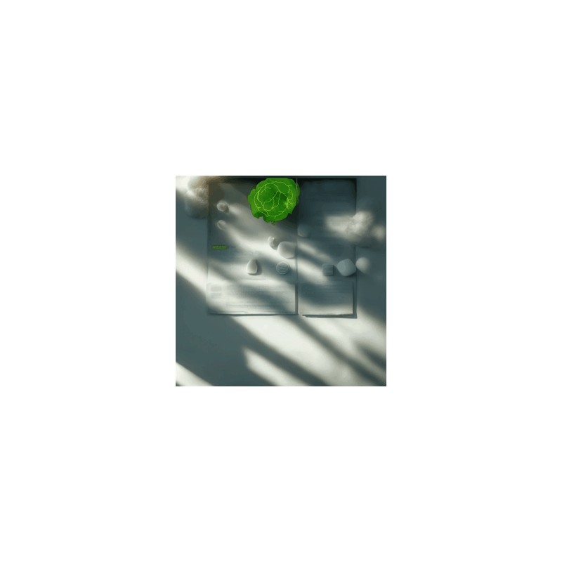 Seonui Seonui Enzyme Cabbage Digestive Enzyme 3g x 30 packets