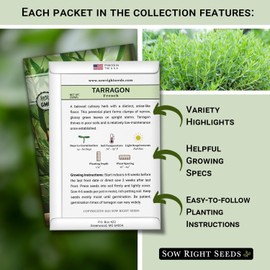Sow Right Seeds Sow Right Seeds - Tarragon Seed Collection for Planting - French and Russian Varieties - Non-GMO Heirloom Packet with Instructions to Plant an Outdoor or Indoor Herb Garden - Perennial Leafy Green