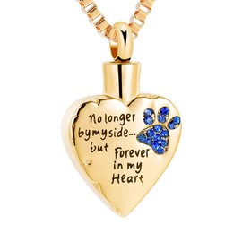 XSMZB Cremation Jewelry for Ashes - No Longer by My Side But Forever in My Heart Dog Cat Memorial Jewelry Keepsake Pendant Pet Urn Necklace for Women Men (Gold-Blue)