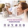 Cat Calming Pheromone Diffuser Effectively Relieve Anxiety Stress