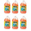 Rain-X All Season 0°F 2-in-1 De-Icer & Bug Remover Windshield Washer Fluid - 1 Gallon