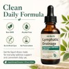 Lymphatic Drainage Drops, 2000mg Herbal Blend with Elderberry & Echinacea