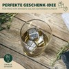 bremermann Ice Cube Set 10 Pieces // 8x Stainless Steel