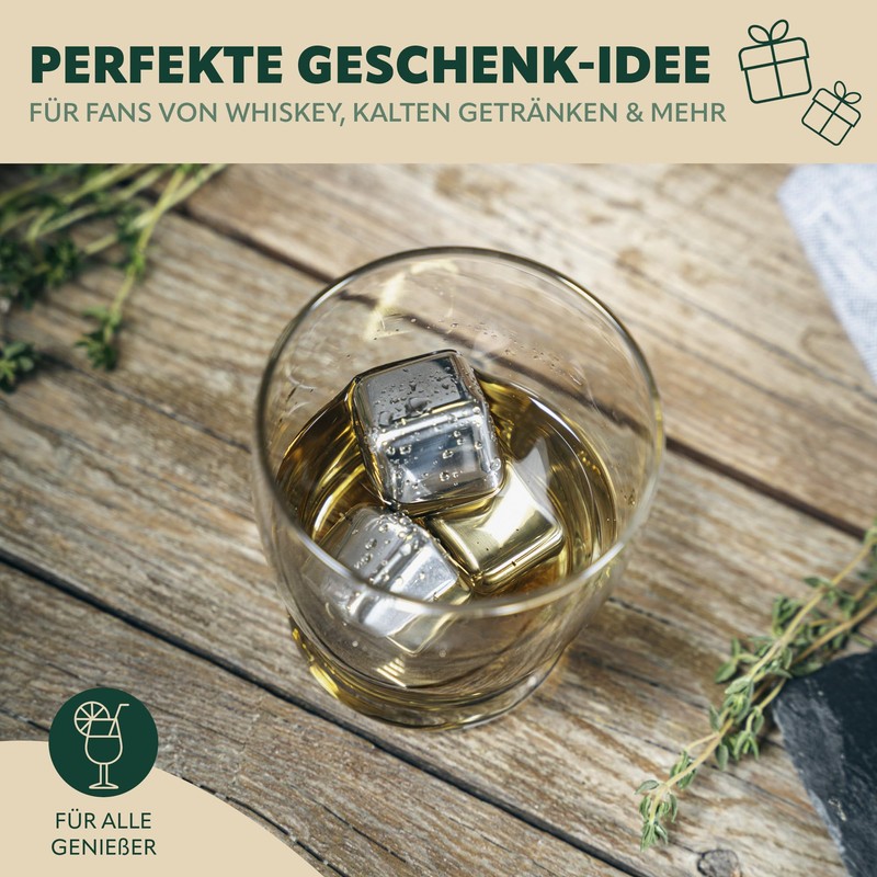 bremermann Ice Cube Set 10 Pieces // 8x Stainless Steel