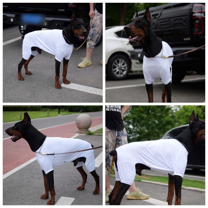 LoveLongLong Dog Jumpsuit with UV Protection and Quick-Dry Fabric for