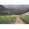 Agfabric 40% Shade Cloth 10X 10ft Sun Shade Fabric Sunblock