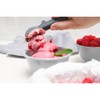 FACKELMANN Ice Cream Scoop, Plastic, with Easy Release Ice Ball