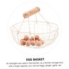 Alipis Metal Wire Storage Basket Rustic Decorative Egg Holder for