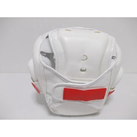 Head Guard New Wire Mesh DX White All Sizes (One Size Fits All (Senior))